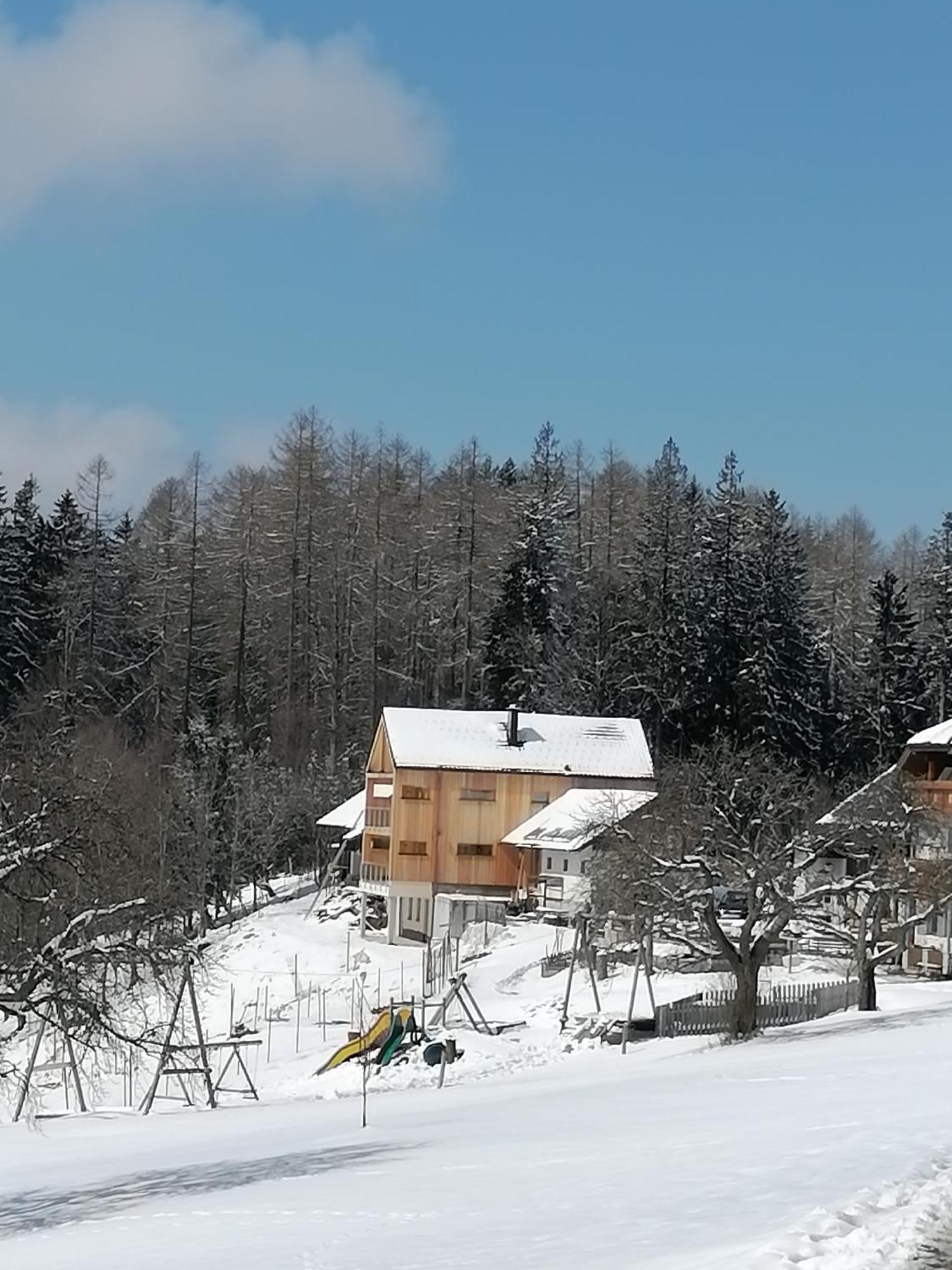 Apartamento Holzhaus "Zum Schwarz'N" Aurach am Hongar Exterior foto